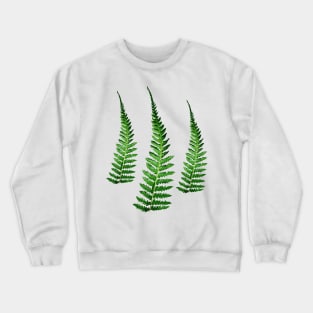 Fern Crewneck Sweatshirt